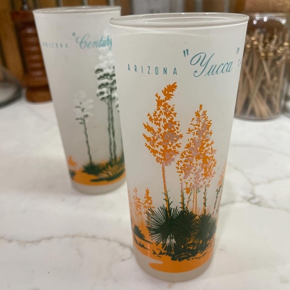 1950s “Yucca cactus” & “Century plant” 14oz Blakely frosted glasses. - Picture 2 of 4